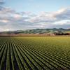 agriculture